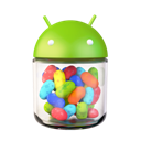 Android 4.1 Jellybean icon